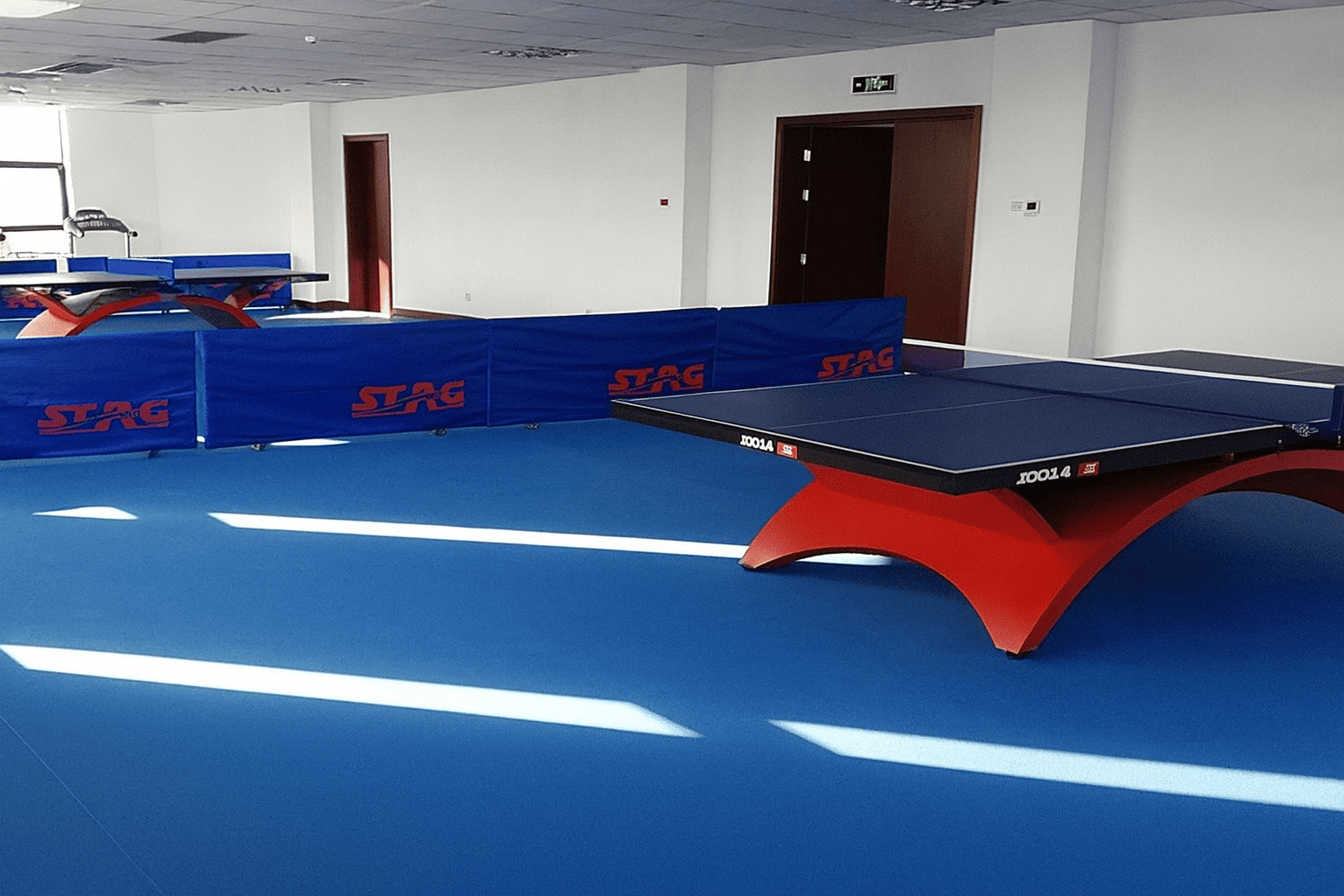 Table Tennis Court